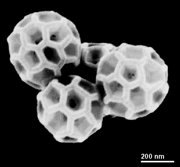 image of real buckyballs.